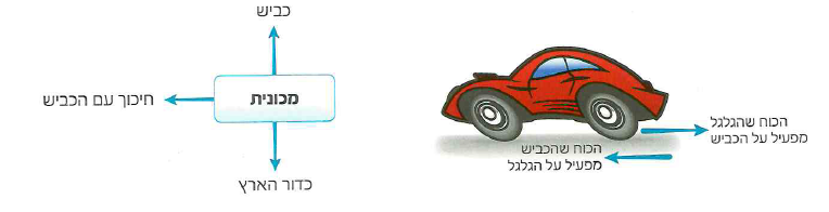 (בספר איור, היעזר במנחה)